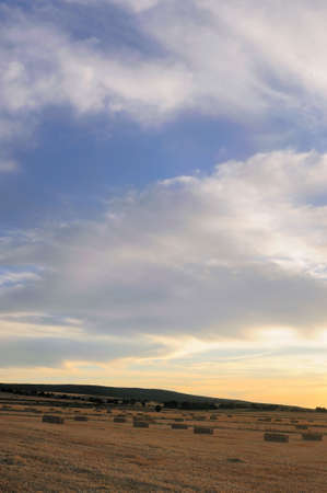 Fields after harvestの写真素材