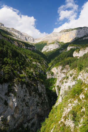 Pyreneesの写真素材
