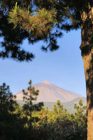 volcano. Spainの写真素材
