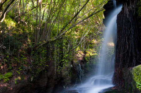 River Eifonso waterfall, in Vigo, Pontevedra, Galicia, Spainの写真素材