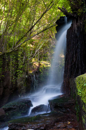 River Eifonso waterfall, in Vigo, Pontevedra, Galicia, Spainの写真素材