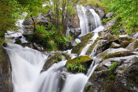 San Paio waterfall  Galicia  Spainの写真素材
