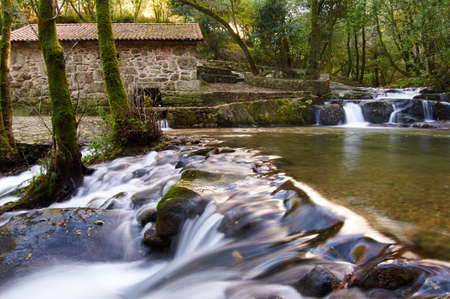 Old Galician water mill in a woodの写真素材