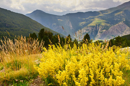 Mountain landscape in Pyrenees, near Canillo, Andorra