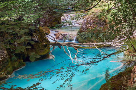 Urederra River (Navarra, Spain) takes an amazing blue color near its spring.の写真素材