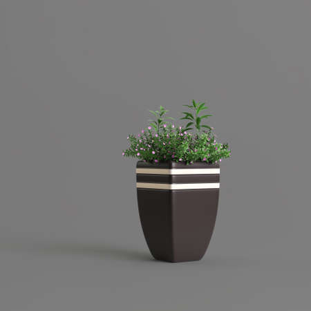 Black potted plant isolated on dark backgroundの写真素材
