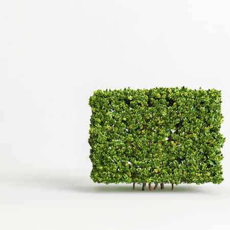 3d illustration of bush isolated on white backgroundの写真素材