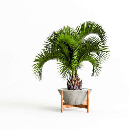 3d illustration of concrete houseplants isolated on white backgroundの写真素材
