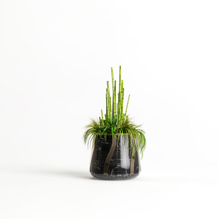 3d illustration of stone houseplants isolated on white backgroundの写真素材