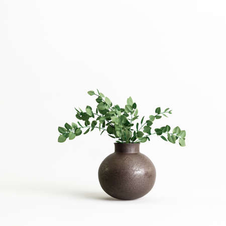 3d illustration of houseplants isolated on white backgroundの写真素材