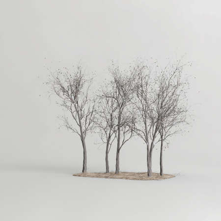 3d illustration of dry tree cluster isolated on white background