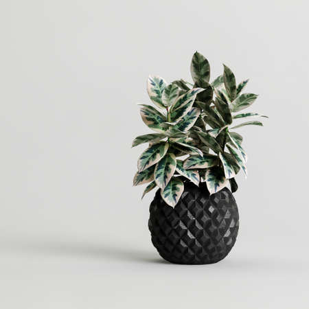 3d illustration of houseplant potted isolated on white backgroundの写真素材