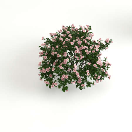 3d illustration of tree fenceの写真素材