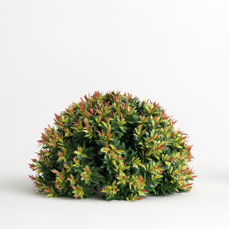 3d illustration of acmena smithii allyn magic isolated on white backgroundの写真素材