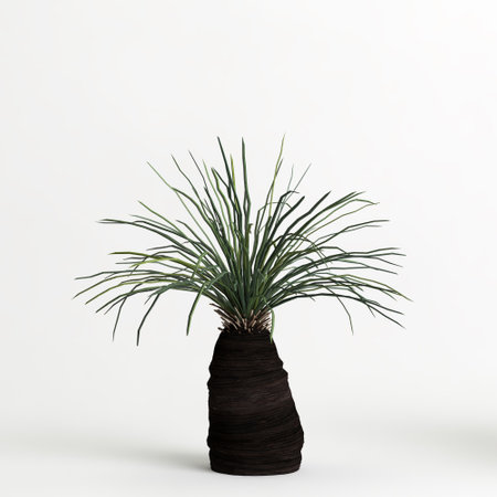 3d illustration of Xanthorrhoea arborea tree isolated on white backgroundの写真素材
