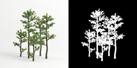 3d illustration of Serissa japonica bonsai isolated on white and its maskの写真素材