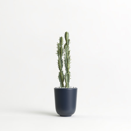 3d illustration of potted cactus isolated on white backgroundの写真素材