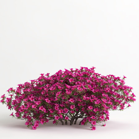 3d illustration of rhododendron pulchrum isolated on black backgroundの写真素材