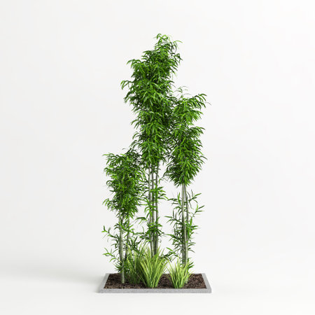 3d illustration of bamboo tree isolated on white backgroundの写真素材