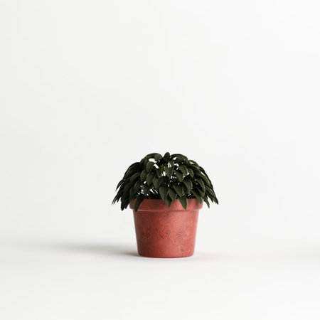 3d illustration of potted plant isolated on white backgroundの写真素材