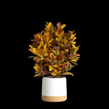 3d illustration of houseplant isolated on black background