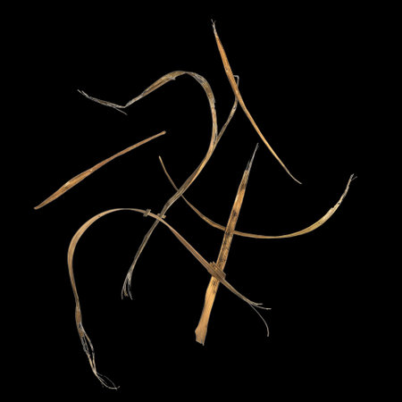 3d illustration of dry grass isolated on black background top viewの写真素材