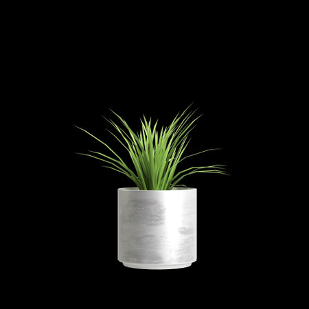 3d illustration of houseplants isolated on black backgroundの写真素材