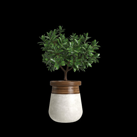 3d illustration of houseplants isolated on black backgroundの写真素材