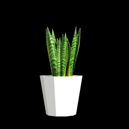 3d illustration of houseplants isolated on black backgroundの写真素材