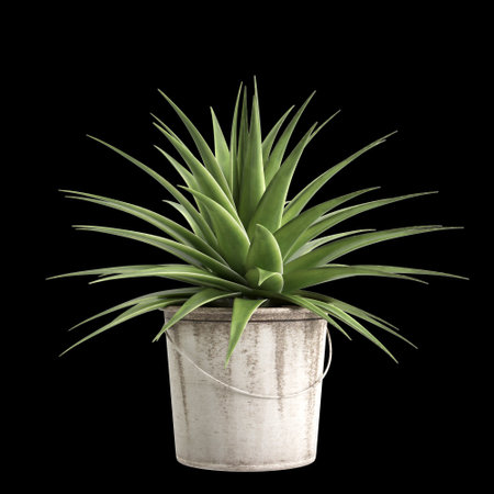 3d illustration of houseplants isolated on black backgroundの写真素材