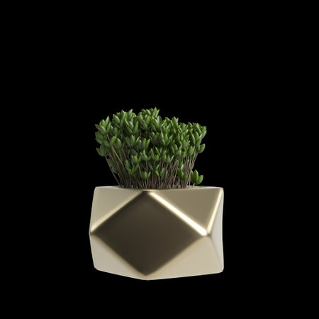 3d illustration of houseplant isolated on black backgroundの写真素材