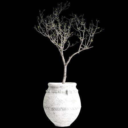 3d illustration of houseplant isolated black backgroundの写真素材