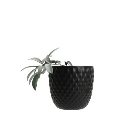 3d illustration of flower vase decoration isolated on white backgroundの写真素材
