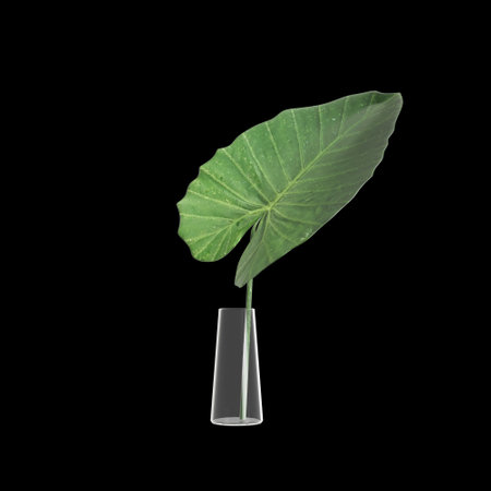 3d illustration of vase flower isolated on black backgroundの写真素材