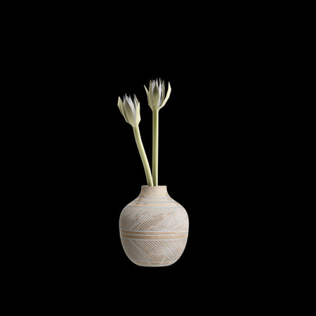 3d illustration of vase flower isolated on black backgroundの写真素材