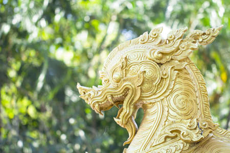 lion statues in temple thailandの写真素材