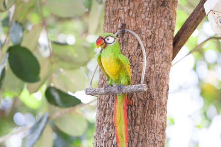 Colored Mold of Parrot sitting on tree, Sculpture parrotの写真素材