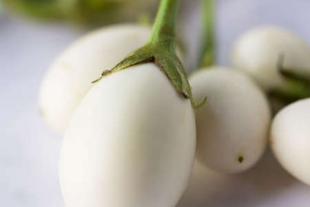 eggplantの写真素材