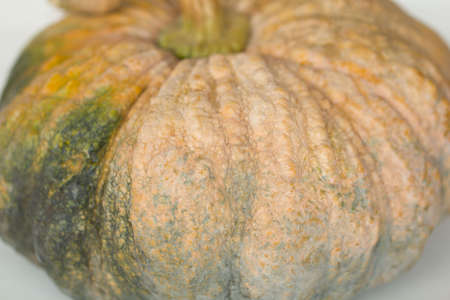 Pumpkins (pumpkin, patch)の写真素材