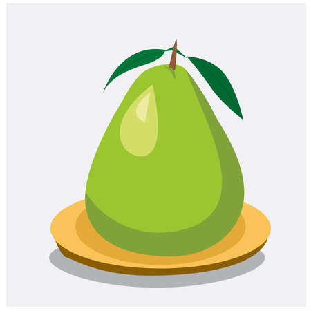 vector illustration Grapefruit on a plate, on a gray background, pay respect to gods, festivals, temples, shrinesのイラスト素材