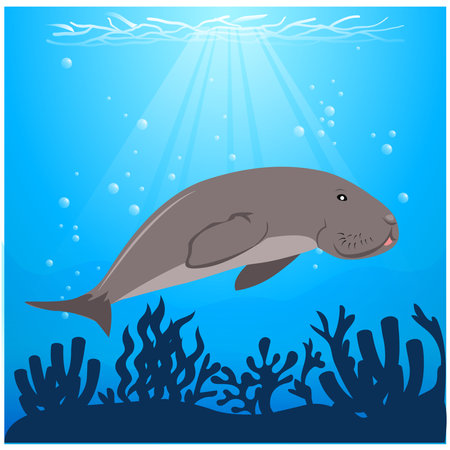 vector illustration dugong swimming under the sea with algae animal conservationのイラスト素材