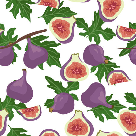 Seamless pattern with figs and leaves. Vector illustration.のイラスト素材