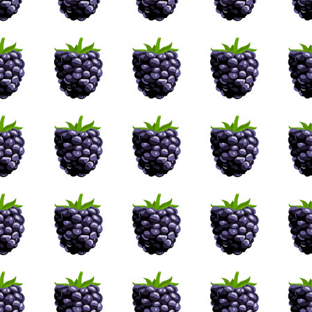 A seamless pattern of Raspberry. vector illustration.のイラスト素材