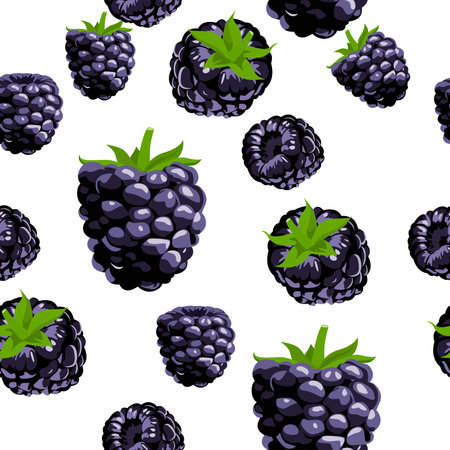A seamless pattern of Raspberry. vector illustration.のイラスト素材
