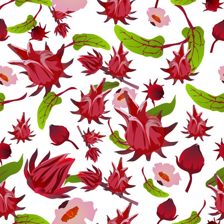 A seamless pattern of Roselle fruit, leaf, and flower. vector illustration.のイラスト素材