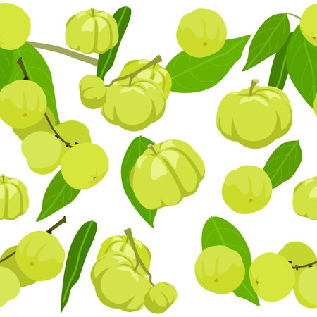 A seamless pattern of star gooseberry. vector illustration.のイラスト素材