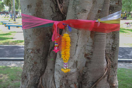 Garland hanging on banyan tree in park, Thailand