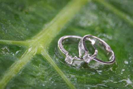 wedding rings,vintage picture styleの写真素材