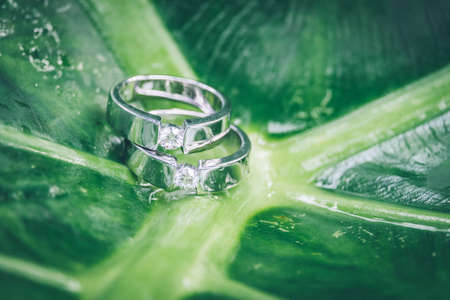 wedding rings,vintage picture styleの写真素材