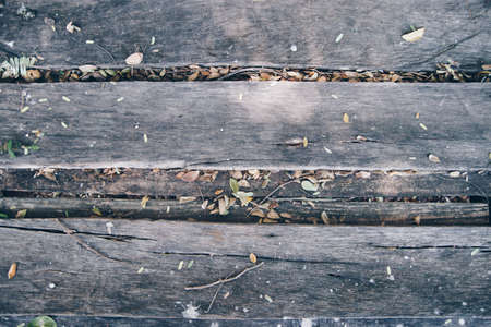 Wood Texture Background,vintage styleの写真素材